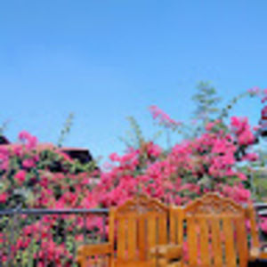 Meet your Posher, Roxane's channel